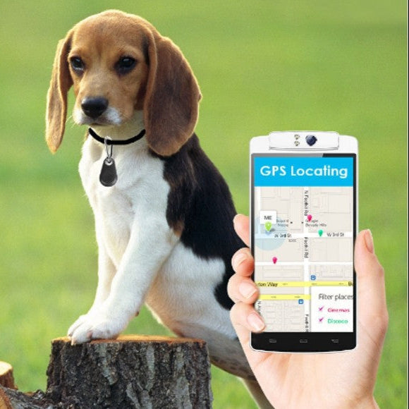 Pet Smart GPS Tracker